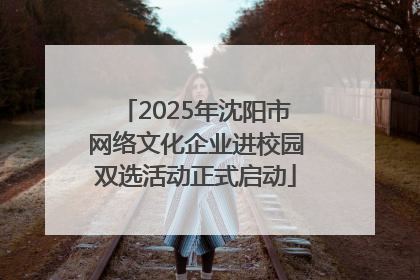 2025年沈阳市网络文化企业进校园双选活动正式启动