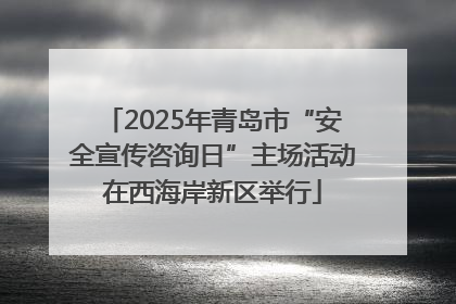 2025年青岛市“安全宣传咨询日”主场活动在西海岸新区举行