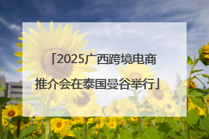 2025广西跨境电商推介会在泰国曼谷举行