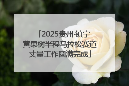 2025贵州·镇宁黄果树半程马拉松赛道丈量工作圆满完成