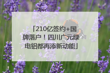 210亿签约+国牌落户！四川广元绿电铝都再添新动能