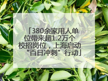 380余家用人单位带来超1.2万个校招岗位，上海启动“百日冲刺”行动
