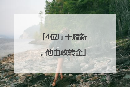 4位厅干履新，他由政转企