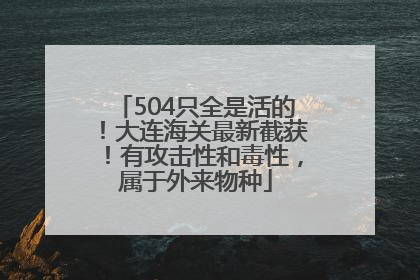 504只全是活的！大连海关最新截获！有攻击性和毒性，属于外来物种