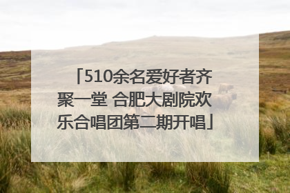 510余名爱好者齐聚一堂 合肥大剧院欢乐合唱团第二期开唱