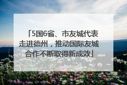 5国6省、市友城代表走进德州，推动国际友城合作不断取得新成效