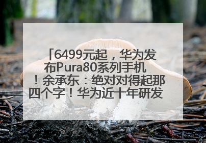6499元起，华为发布Pura80系列手机！余承东：绝对对得起那四个字！华为近十年研发投入12490亿元