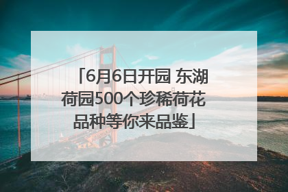 6月6日开园 东湖荷园500个珍稀荷花品种等你来品鉴