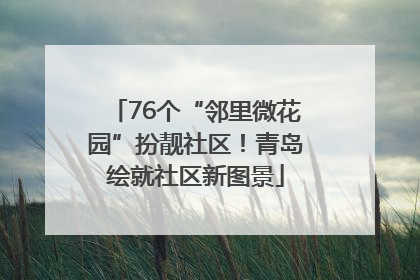 76个“邻里微花园”扮靓社区！青岛绘就社区新图景