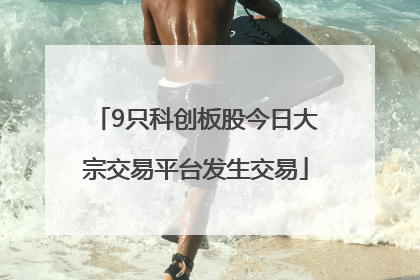 9只科创板股今日大宗交易平台发生交易