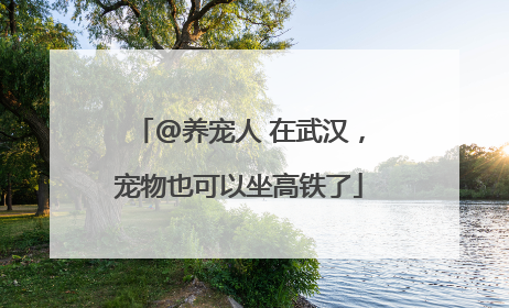 @养宠人 在武汉，宠物也可以坐高铁了