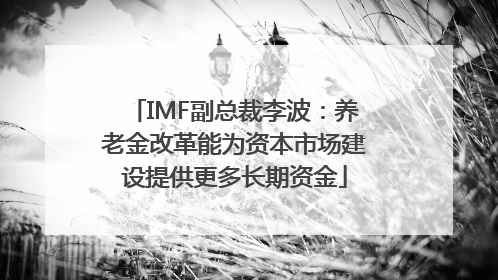 IMF副总裁李波：养老金改革能为资本市场建设提供更多长期资金