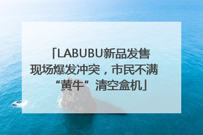 LABUBU新品发售现场爆发冲突，市民不满“黄牛”清空盒机