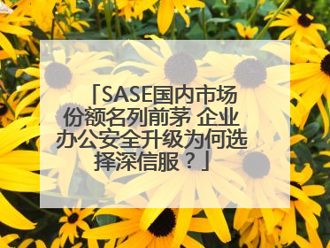 SASE国内市场份额名列前茅 企业办公安全升级为何选择深信服？